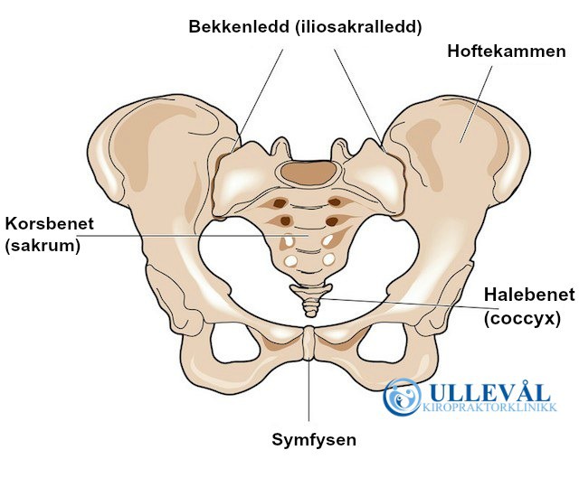 bekkensmerter