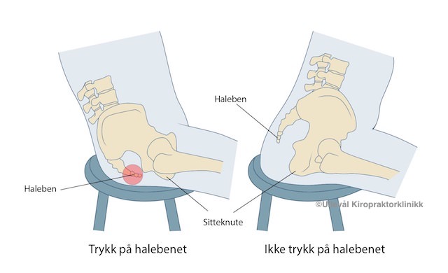 Spesialist på halebein