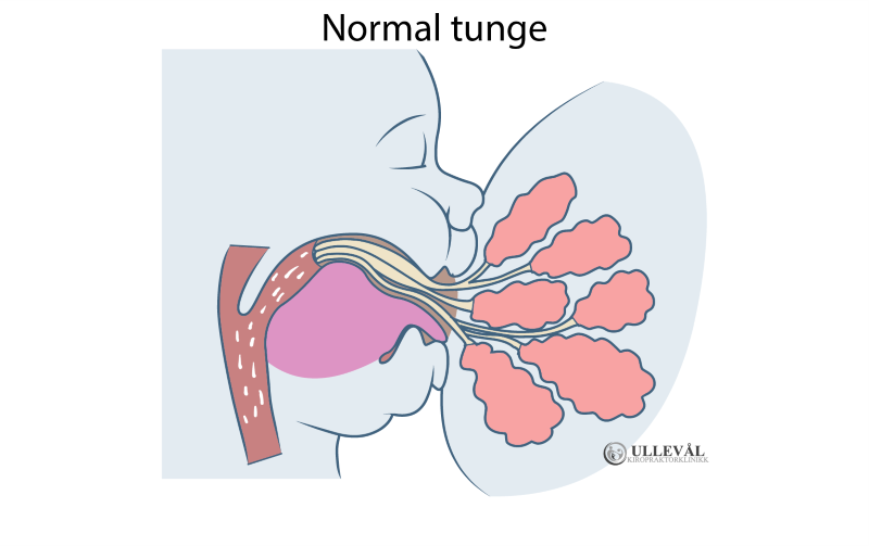 normal tunge hos baby som dier brystet