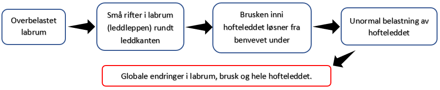 Flow chart av degenerasjonsendringer i hofteleddet