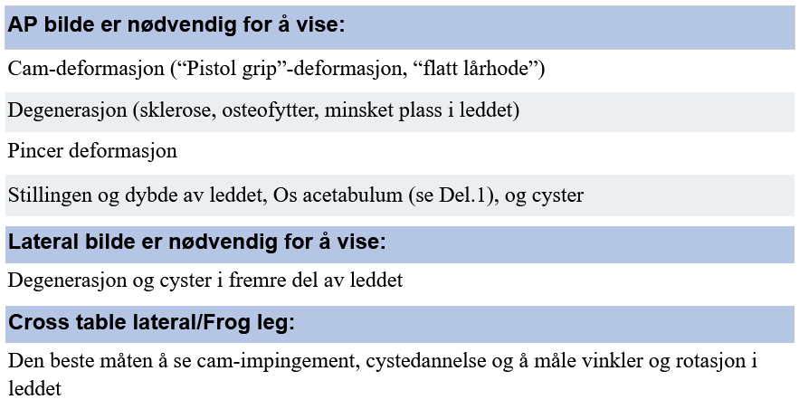 Hva man ser etter på røntgenbilder